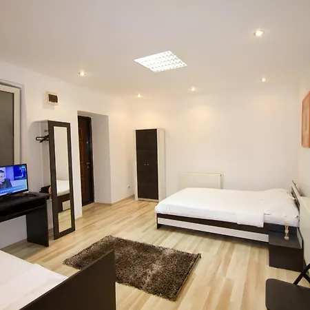 Studio Premium Muresenilor Apartment