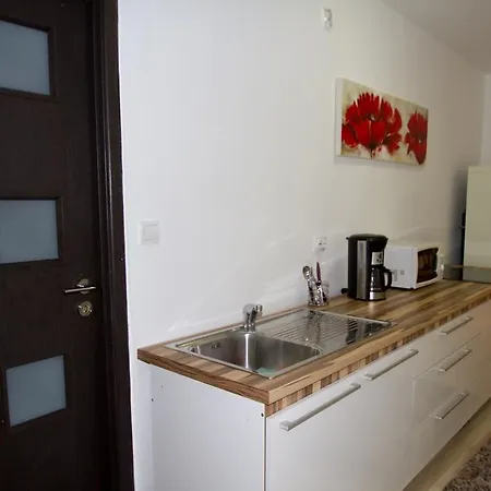 Studio Premium Muresenilor Apartment *