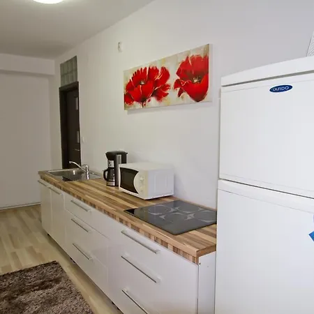 Apartment Studio Premium Muresenilor
