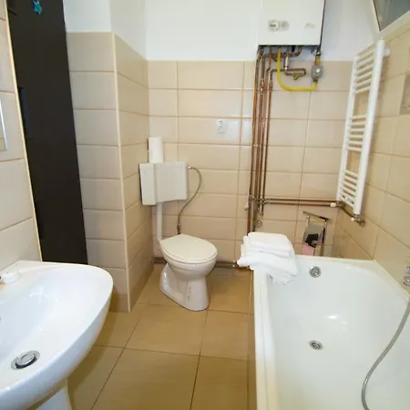 Apartment Studio Premium Muresenilor Brasov